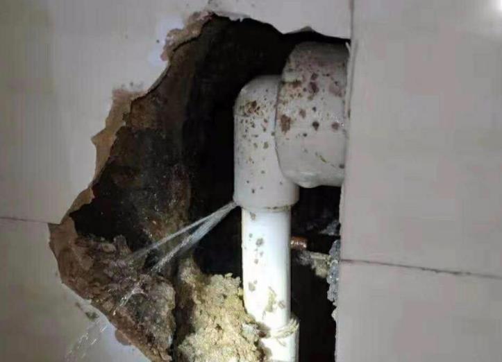 公元水管漏水包賠嗎？選購時別光看牌子！還得看它！